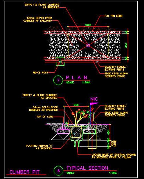 Climbing Plant Landscape Drawing- Plan and Section DWG